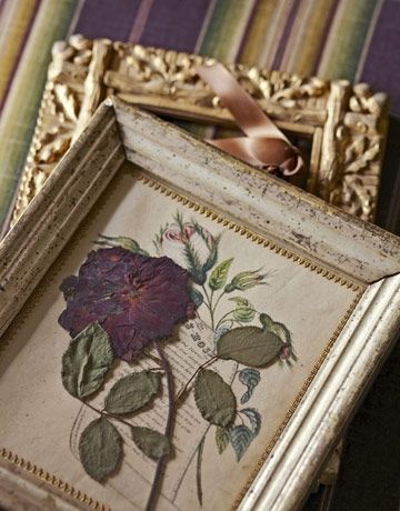 Как засушить цветы и листья для зимнего букета