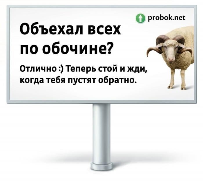 Водителей-хамов в России будут высмеивать плакатами