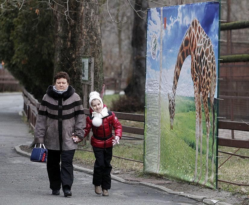 Скандалы в киевском зоопарке: директора не виноваты?