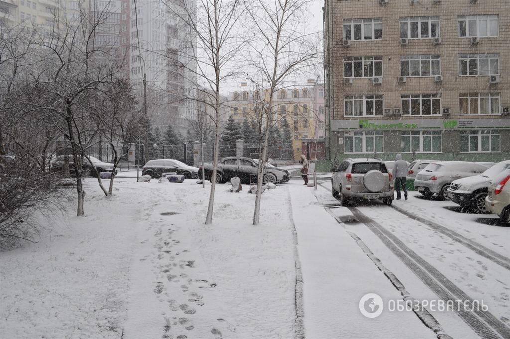 В Киеве выпал первый в новом году снег