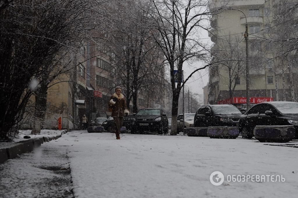 В Киеве выпал первый в новом году снег