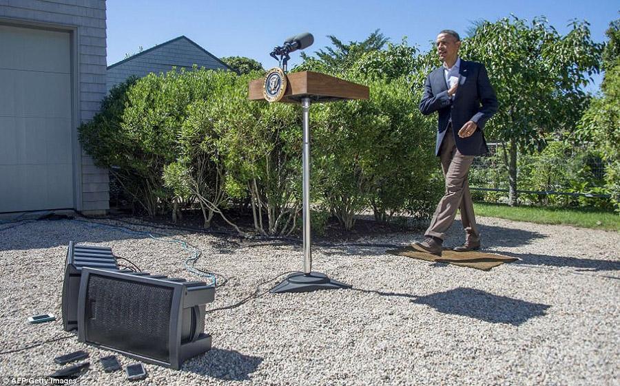 Підбірка фотографій, зроблених в потрібний момент