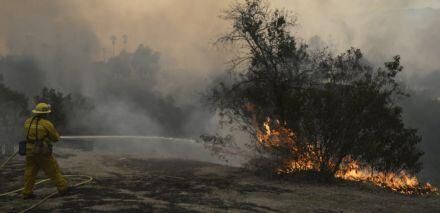 У Лос-Анджелесі вирують лісові пожежі: проводиться масова евакуація