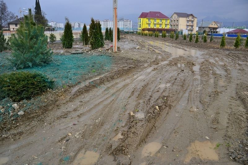 Две недели до начала Игр