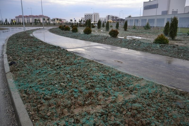 Две недели до начала Игр