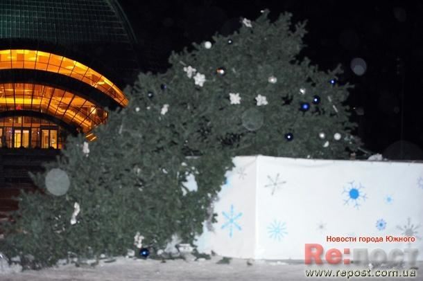 В Южном ветер повалил главную новогоднюю елку