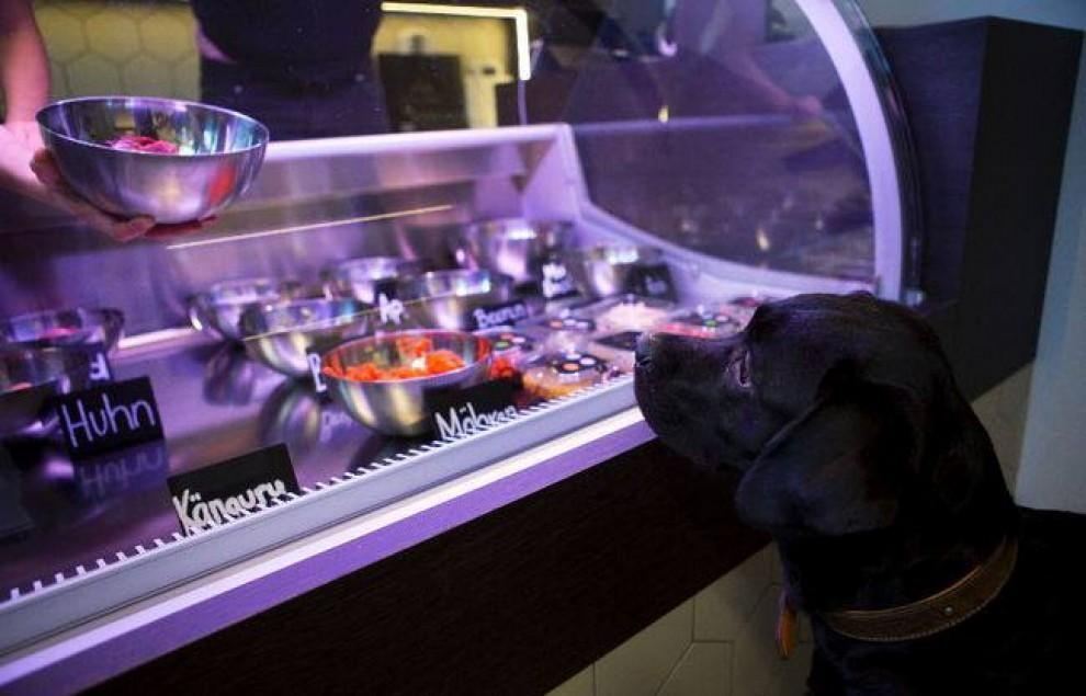 В Берлине открыли ресторан для собак и кошек
