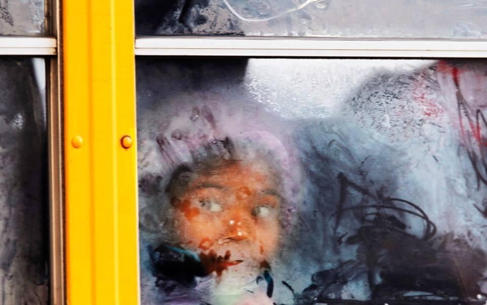 Жертвами аномальних холодів у США стали 16 людей