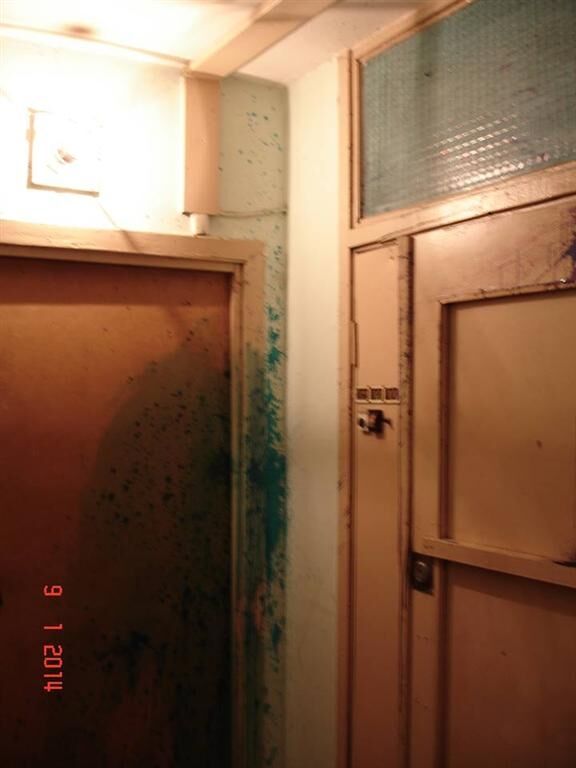 Испачкали зеленкой дверь квартиры организатора Автомайдана