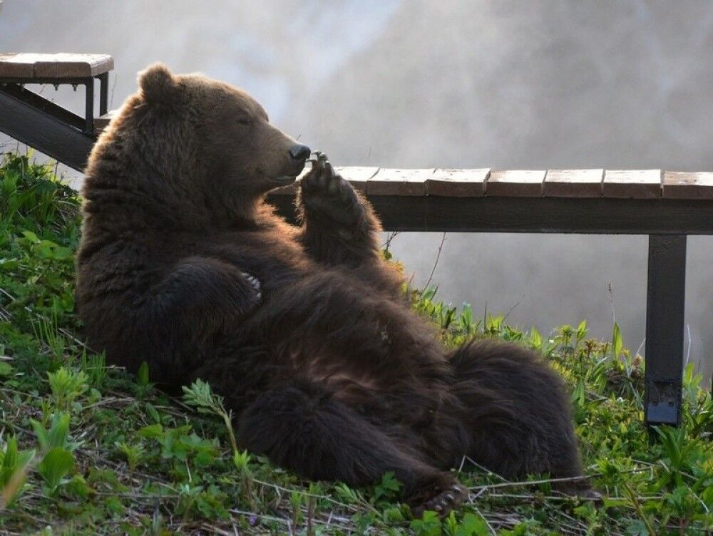 Лучшие фотографии National Geographic за сентябрь