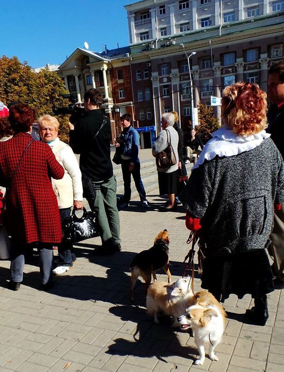 В Донецке люди со свастикой требовали отменить "выборы" и объявить войну Украине