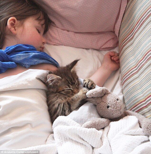 Кошка вдохновила 5-летнюю девочку-аутиста писать невероятные картины 