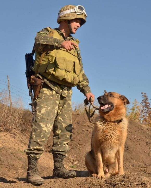 В зоне АТО собаки спасают жизни украинских военных
