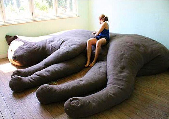 10 модных аксессуаров для любителей кошек