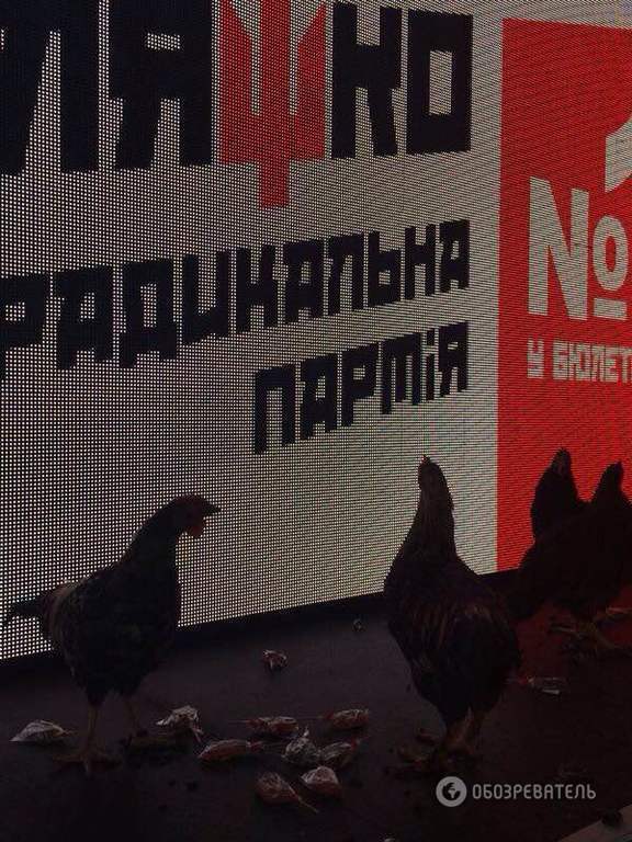 Ляшко в Орджоникидзе встретили избиратели с петухами и матерными плакатами