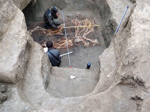 На Кубани нашли захоронение людей-гигантов: опубликованы фото