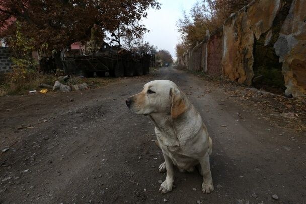 У мережі опублікували нові фото "кіборгів" з аеропорту Донецька