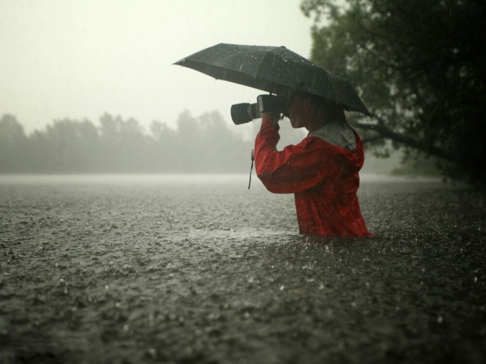 20 лучших фото, показывающих красоту дождливой осени