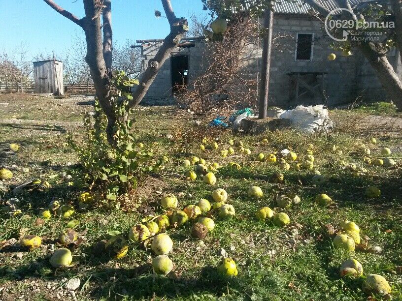 Под Мариуполем идет бой: силы АТО уничтожили танк террористов