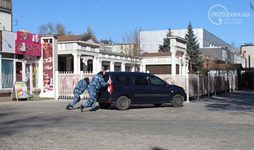 На Донбассе из-за собаки люди в камуфляже попали в ДТП