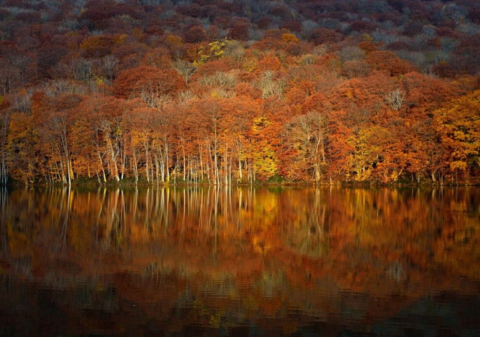 Фотоконкурс от журнала National Geographic 2014