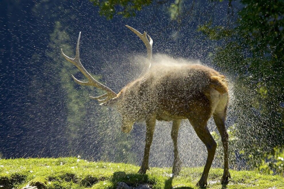 Фотоконкурс от журнала National Geographic 2014