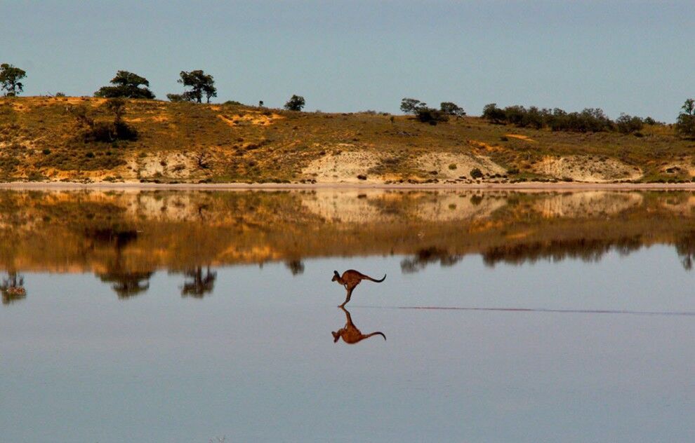 Фотоконкурс от журнала National Geographic 2014