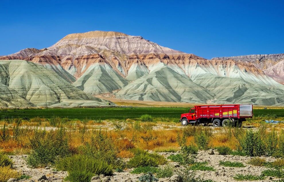 Фотоконкурс от журнала National Geographic 2014