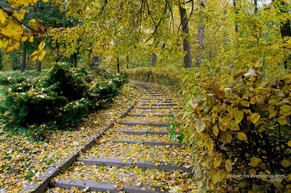 10 парков Украины, которые осенью невероятно красивы
