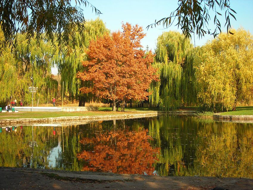10 парков Украины, которые осенью невероятно красивы