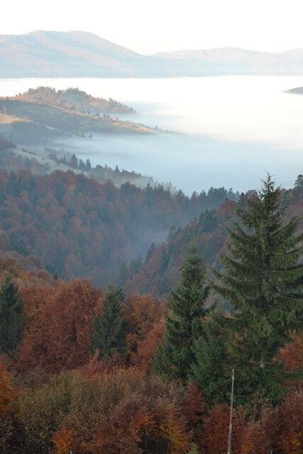 10 парков Украины, которые осенью невероятно красивы