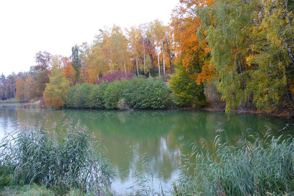 10 парков Украины, которые осенью невероятно красивы