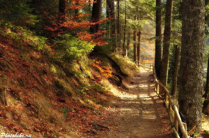 10 парков Украины, которые осенью невероятно красивы