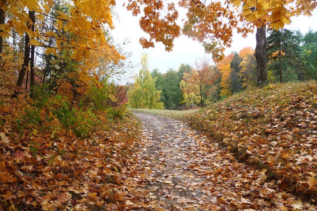 10 парков Украины, которые осенью невероятно красивы