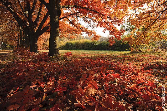 10 парков Украины, которые осенью невероятно красивы