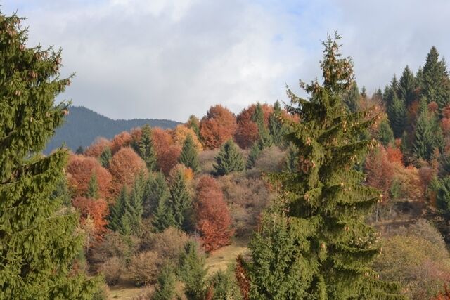 10 парков Украины, которые осенью невероятно красивы