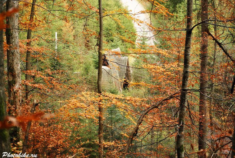 10 парков Украины, которые осенью невероятно красивы