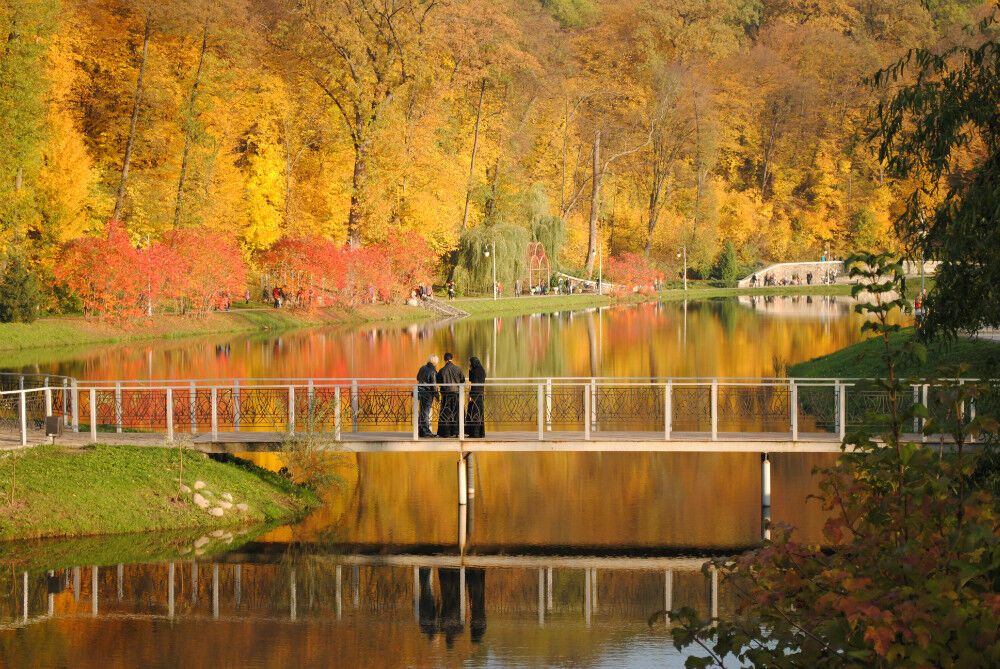 10 парков Украины, которые осенью невероятно красивы