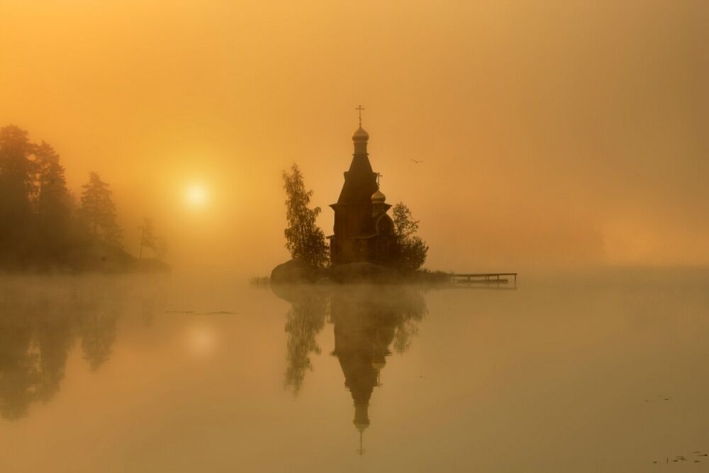 Фото National Geographic за октябрь 2014 года: стеснительный фламинго, скучающий леопард и прочее