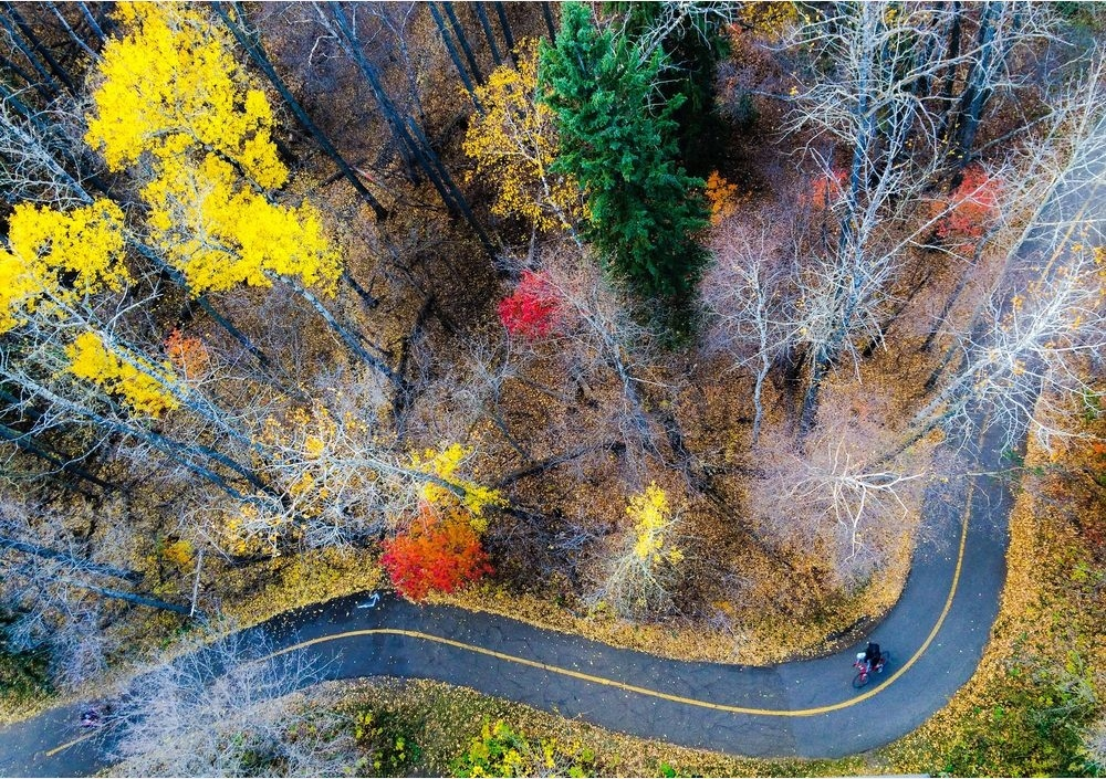 Фото National Geographic за октябрь 2014 года: стеснительный фламинго, скучающий леопард и прочее