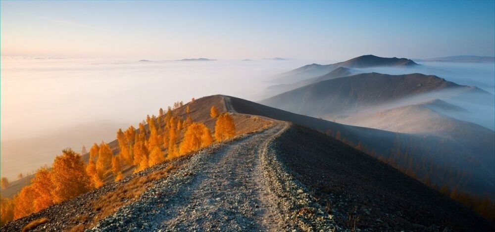 Фото National Geographic за октябрь 2014 года: стеснительный фламинго, скучающий леопард и прочее