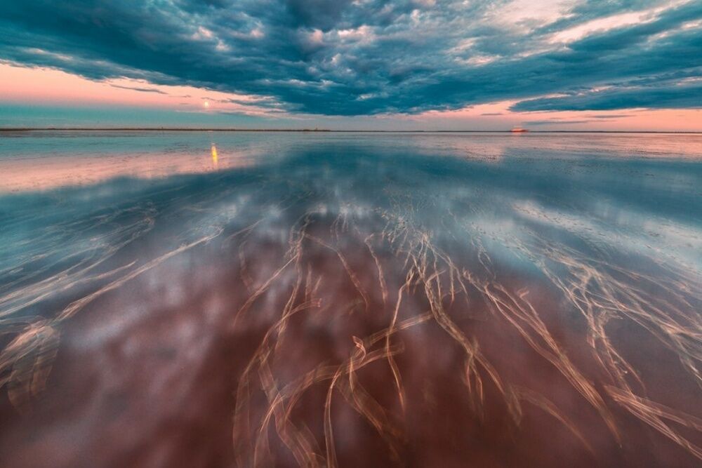 Фото National Geographic за октябрь 2014 года: стеснительный фламинго, скучающий леопард и прочее