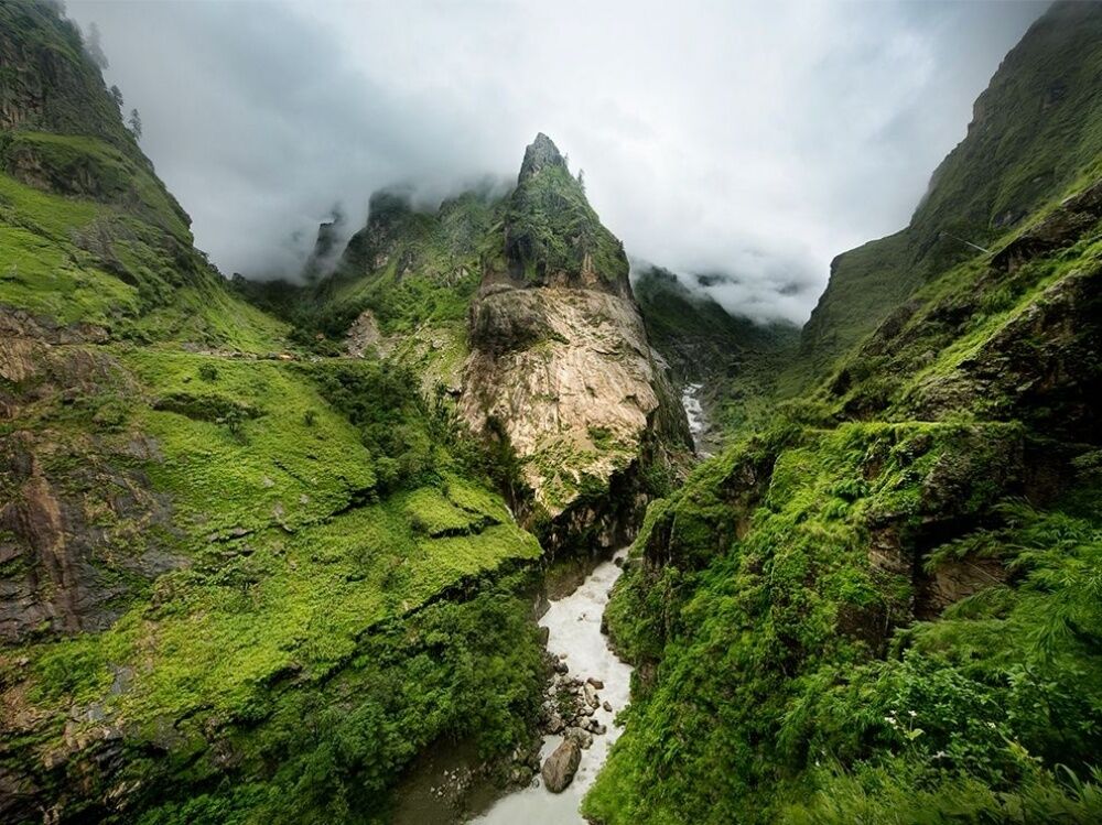 Фото National Geographic за октябрь 2014 года: стеснительный фламинго, скучающий леопард и прочее