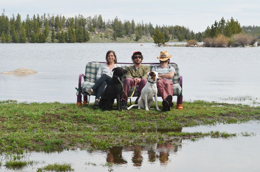 Необычное путешествие: три друга, две собаки и один диван