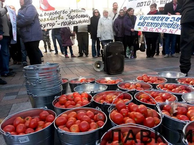 Активисты хотят "угостить" поддерживающих коррупцию депутатов помидорами: привезли 200 кг