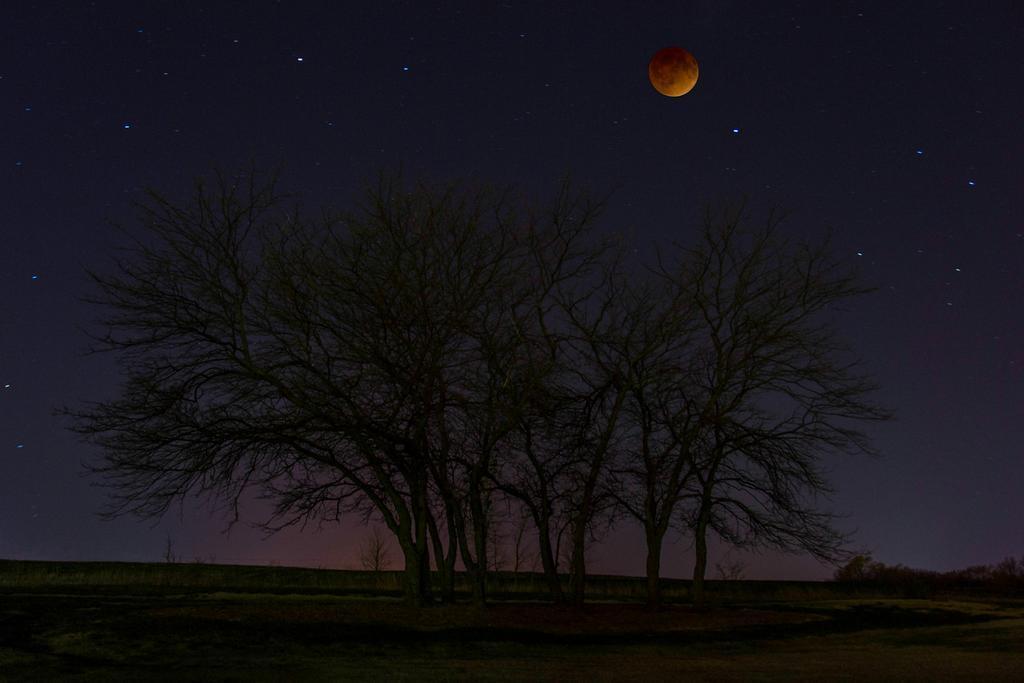 Интернет заполонила "кровавая луна". Опубликованы фото затмения
