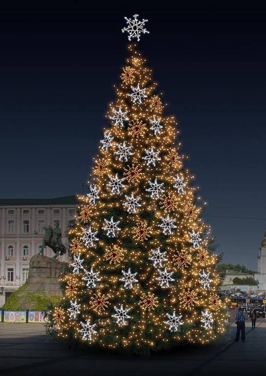 Киевлянам представили несколько вариантов новогодней елки
