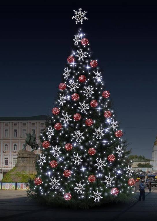 Киевлянам представили несколько вариантов новогодней елки
