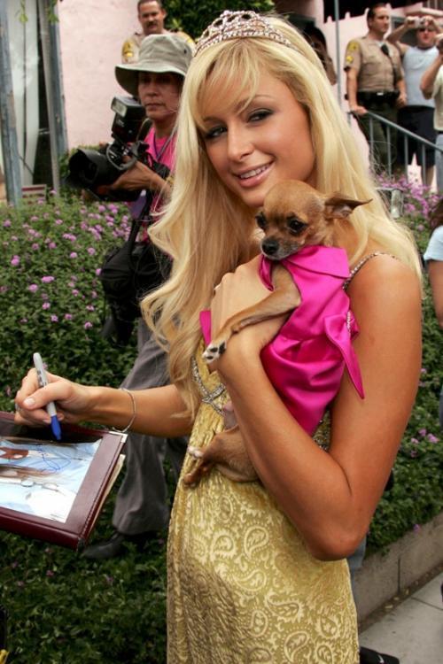 Пэрис Хилтон (Paris Hilton) и знаменитая Тинкербелл