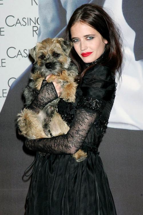 Ева Грин (Eva Green) о своем псе, которого ей чуть было не запретили взять при переезде из Парижа в Лондон: "Я уже подумываю о том, чтобы купить белую трость и сказать что я слепа, чтобы провезти пса с собой. Я его безумно люблю"